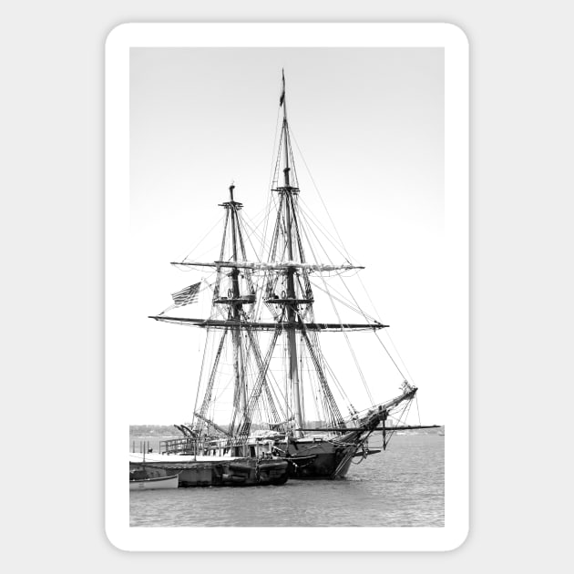 Sailboat Docked in Cleveland Harbor Sticker by bobmeyers